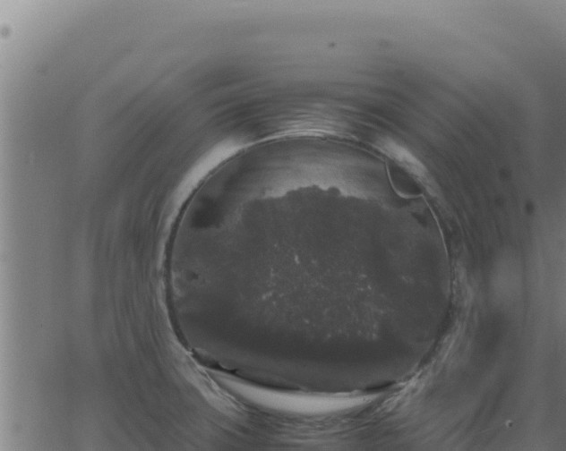 X0000062851427200601201652