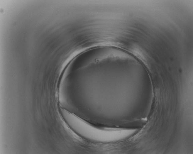 X0000062851428200601201652