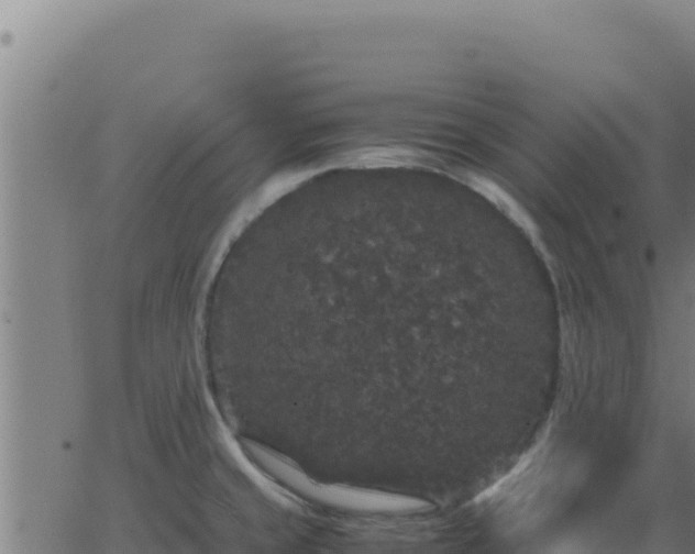 X0000062851429200601201652