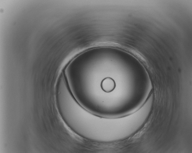 X0000062851430200601201652