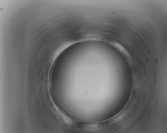 X0000062851431200601201652