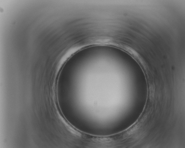 X0000062851432200601201652