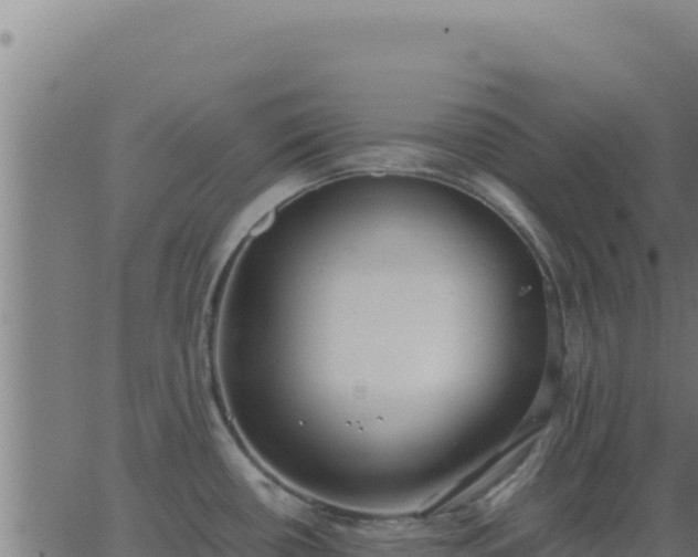 X0000062851434200601201652