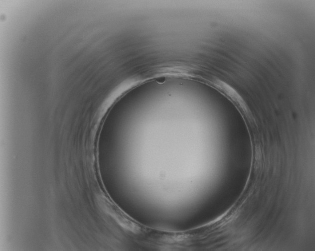 X0000062851435200601201652