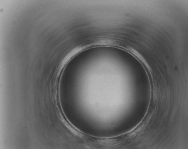 X0000062851437200601201652