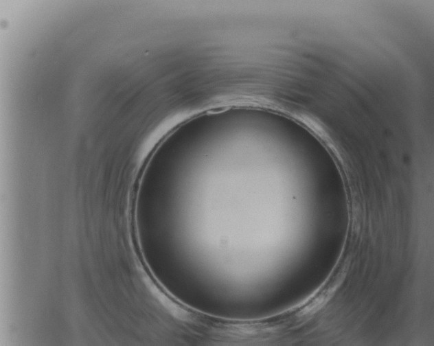 X0000062851438200601201652