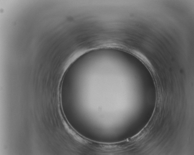 X0000062851439200601201652