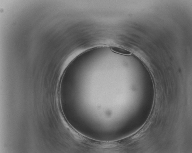 X0000062851440200601201652