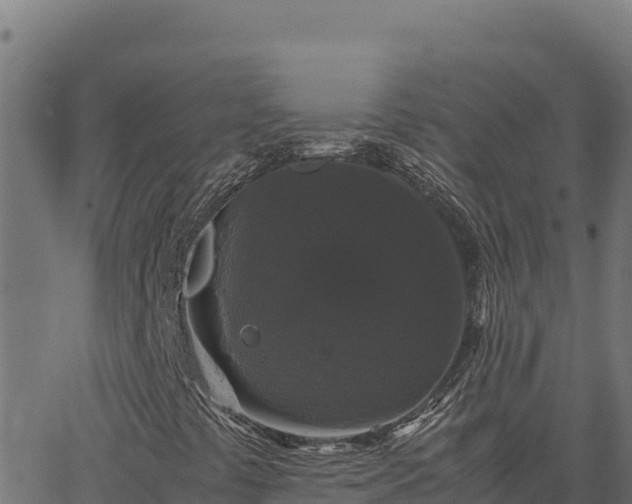 X0000062851441200601201651