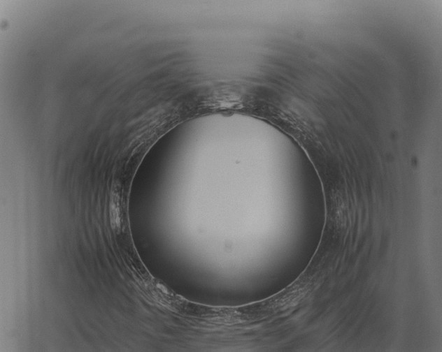 X0000062851442200601201651