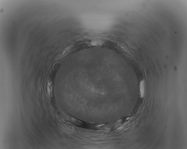 X0000062851443200601201651