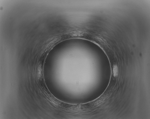 X0000062851444200601201651