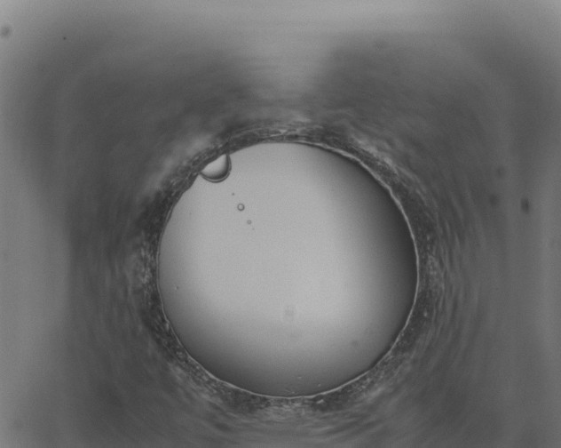 X0000062851447200601201651