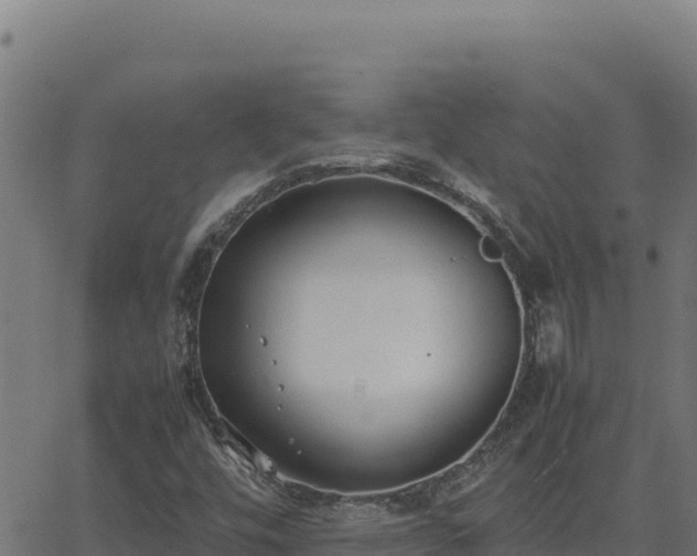 X0000062851448200601201651