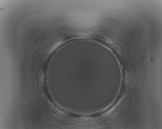 X0000062851449200601201651