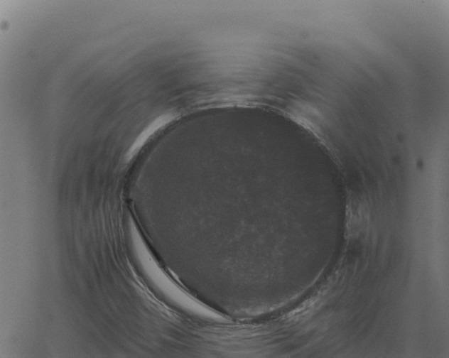 X0000062851450200601201651