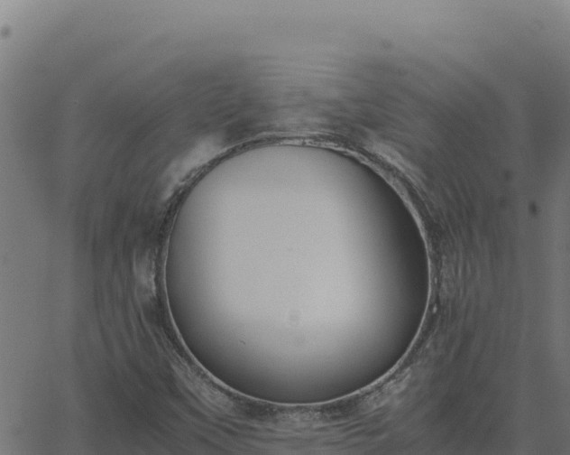 X0000062851451200601201651