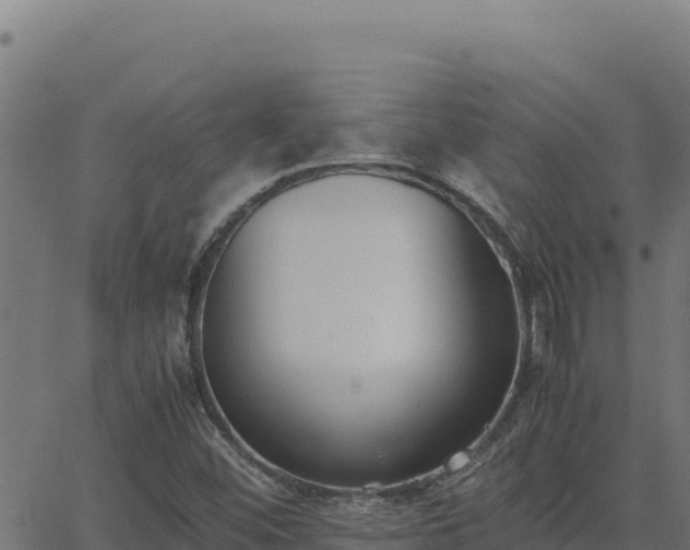 X0000062851452200601201651