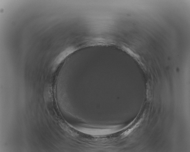 X0000062851453200601201651