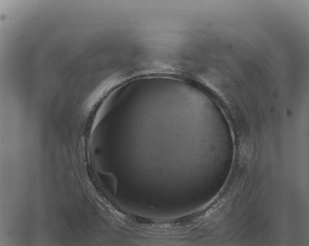 X0000062851455200601201651