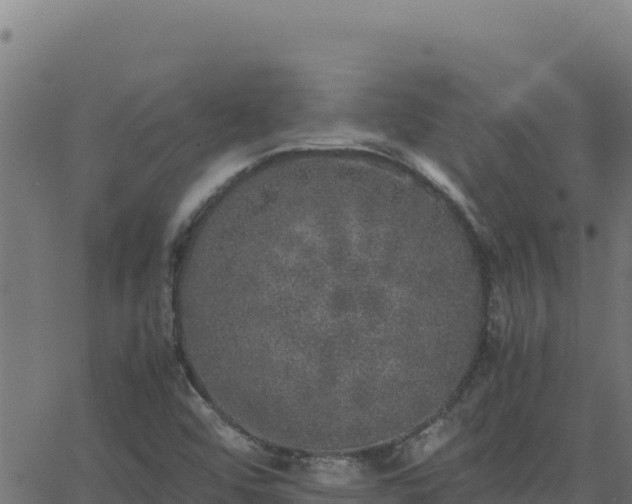 X0000062851456200601201651