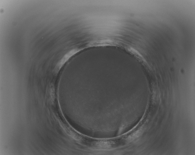 X0000062851457200601201651