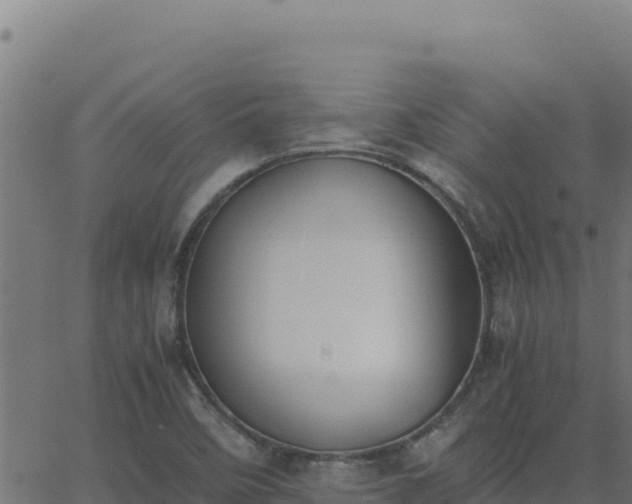 X0000062851458200601201651