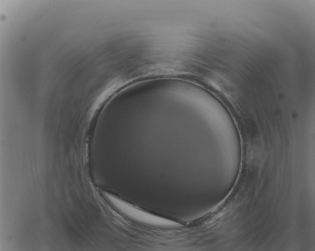 X0000062851459200601201651