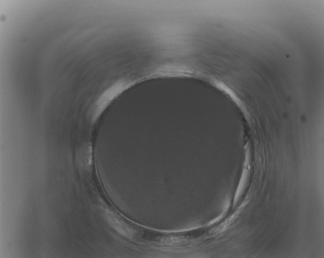 X0000062851461200601201651