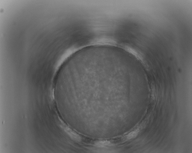 X0000062851462200601201651