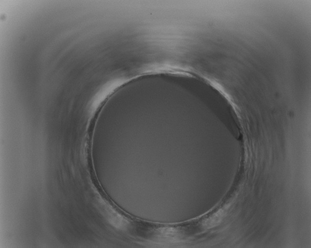 X0000062851463200601201651