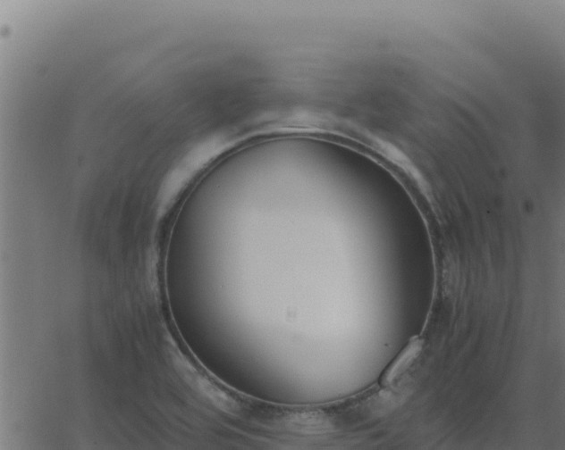 X0000062851464200601201651