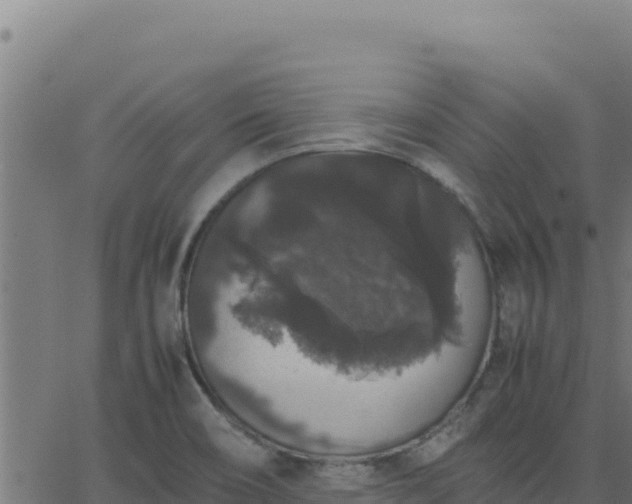 X0000062851466200601201651