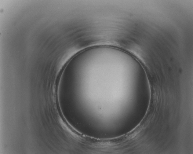 X0000062851468200601201651