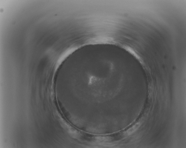 X0000062851469200601201651