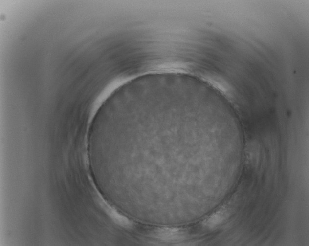 X0000062851470200601201651