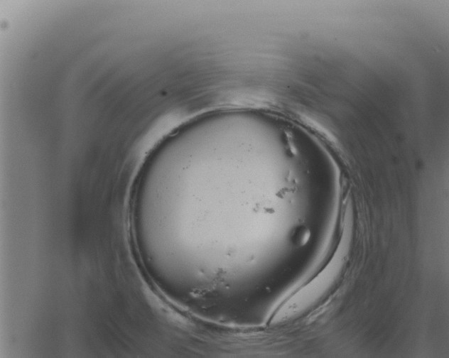 X0000062851471200601201651