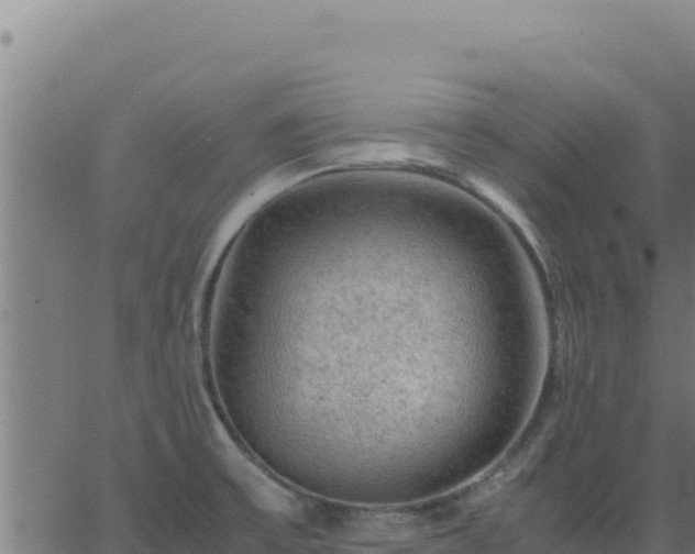 X0000062851475200601201651