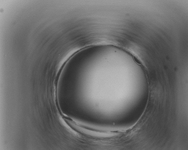 X0000062851476200601201651