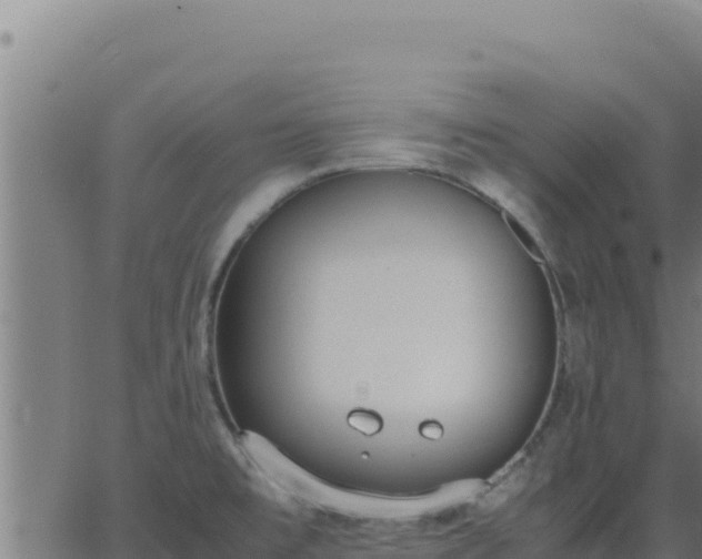 X0000062851477200601201651