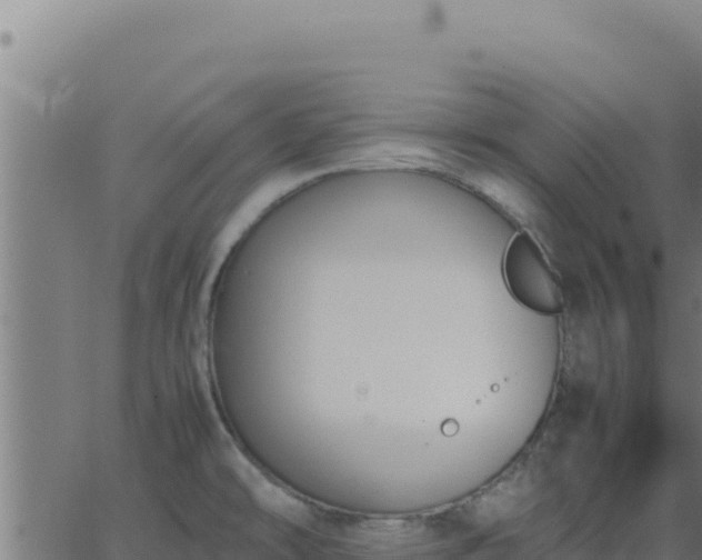 X0000062851478200601201651