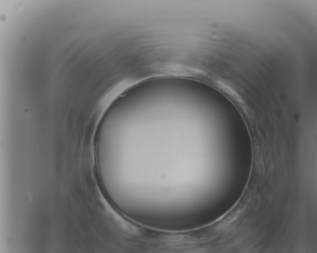 X0000062851479200601201651