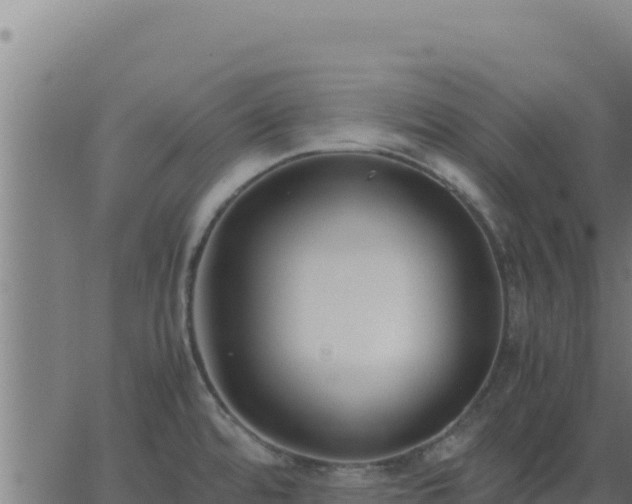 X0000062851480200601201651