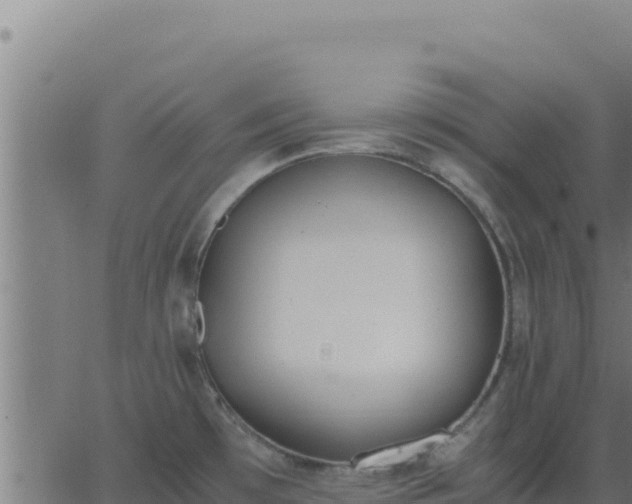 X0000062851481200601201651