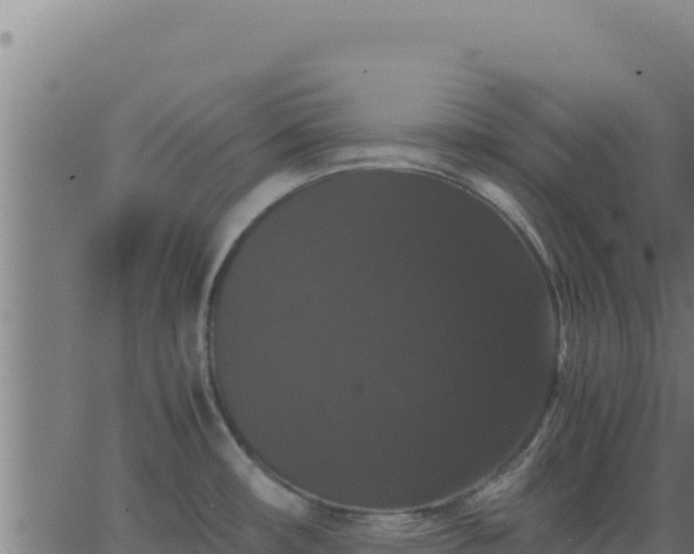 X0000062851482200601201651