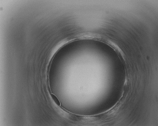 X0000062851483200601201651