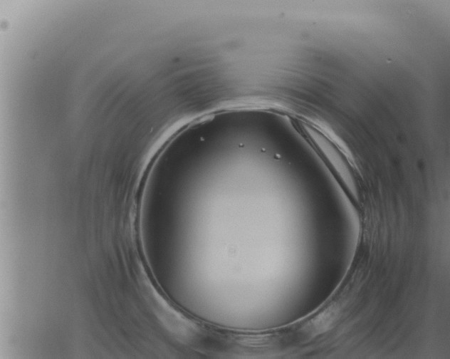 X0000062851484200601201651