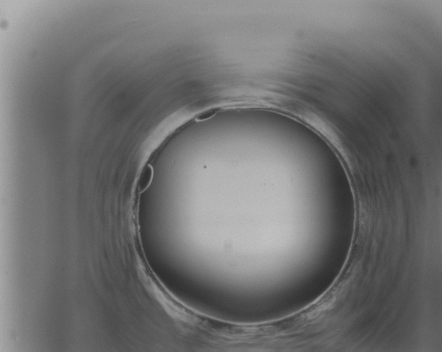 X0000062851485200601201651