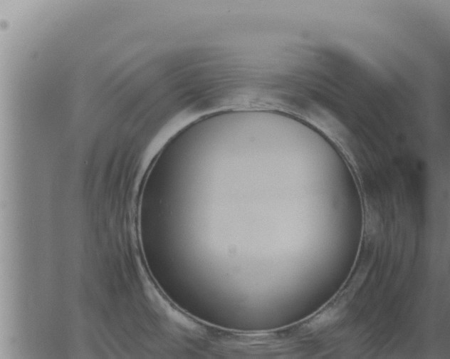 X0000062851486200601201650