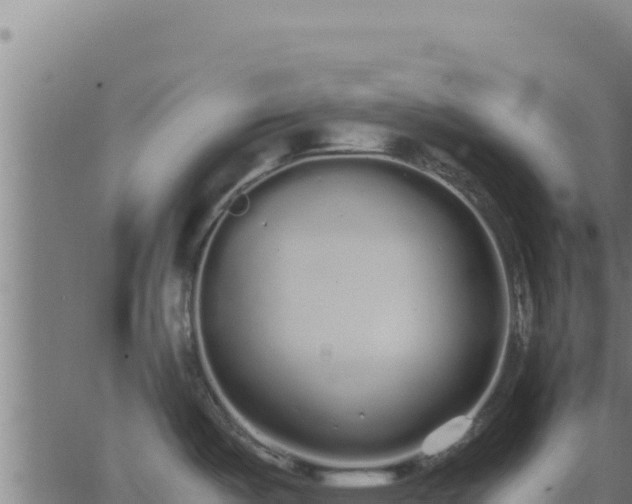 X0000062851487200601201650